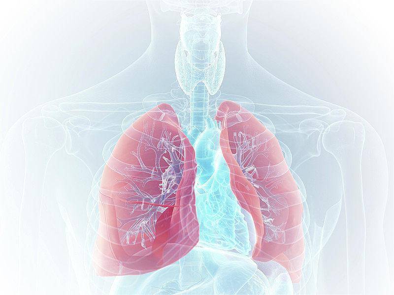 电子支气管镜：未来呼吸系统疾病的诊断与治疗利器