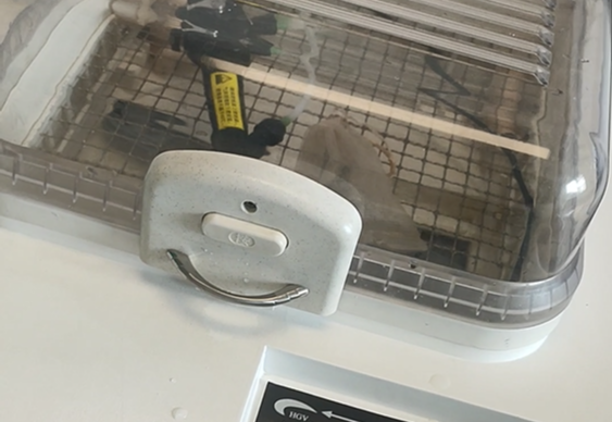 可视喉镜厂家:气管插管用可视喉镜该如何清洗消毒? 可视喉镜厂家:气管插管用可视喉镜该如何清洗消毒?