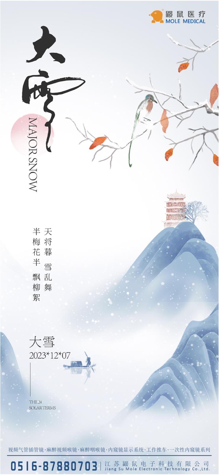 大雪节气-可视喉镜如何帮助维护咽喉健康？
